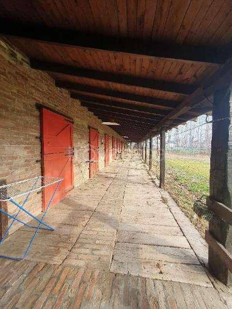 immagine annuncio 12 di 13