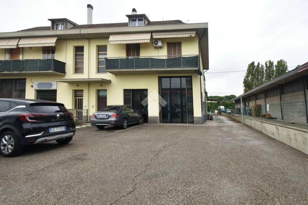 immagine annuncio 4 di 6