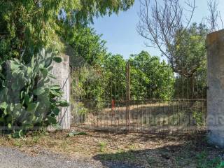 Terreno agricolo in vendita a monastir 