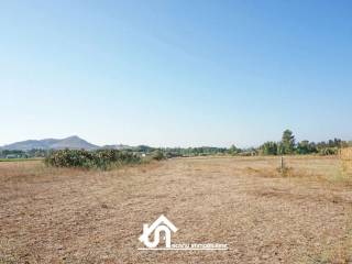 Terreno agricolo in vendita a monastir 