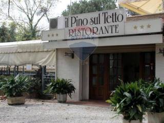 Ristorante in vendita a viareggio via fratti