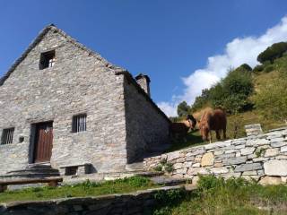 Baita in vendita a malesco alpe oro