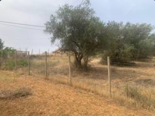 Terreno agricolo in vendita a caltagirone via gelone