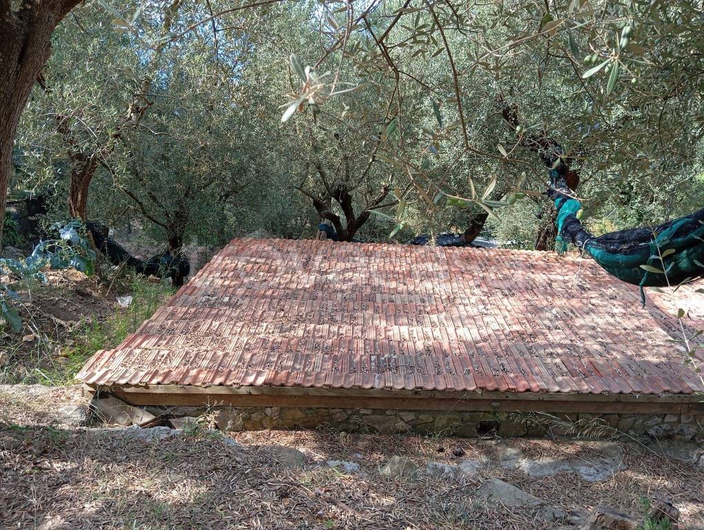 immagine annuncio 2 di 9