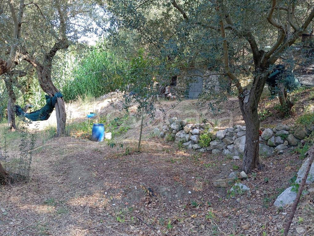 immagine annuncio 3 di 9