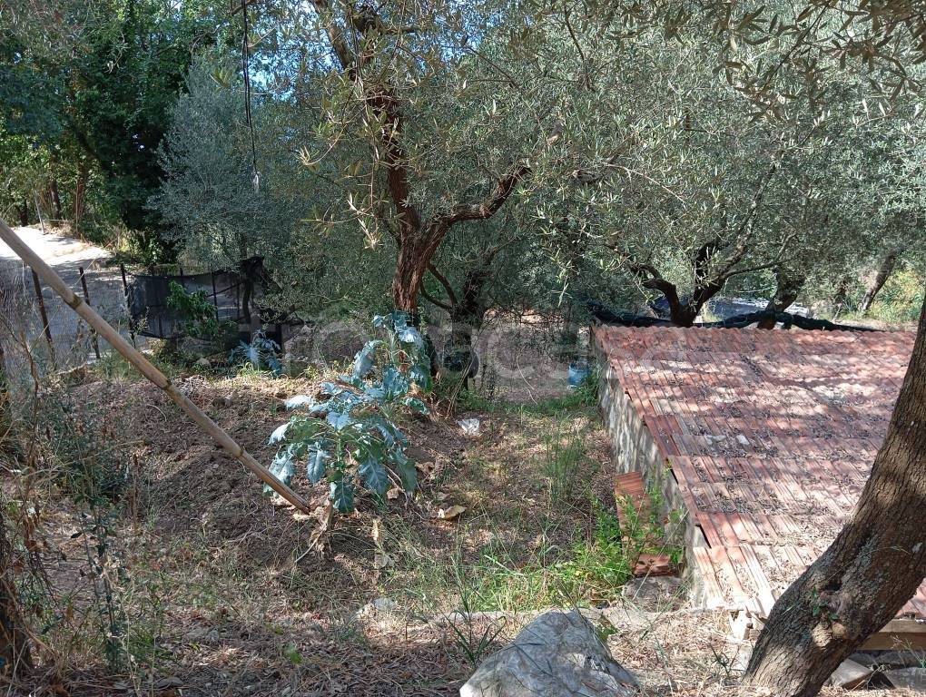 immagine annuncio 5 di 9