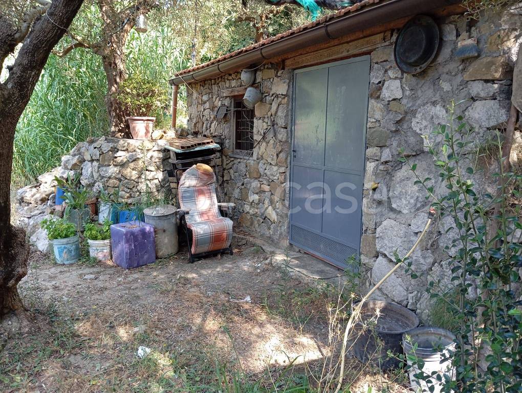 immagine annuncio 8 di 9
