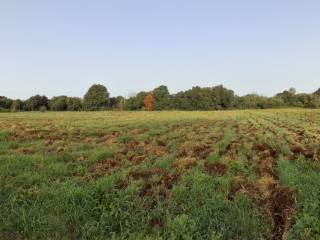 Terreno agricolo in vendita a lanuvio via farnete