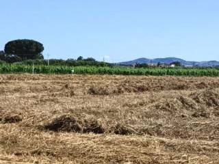 Terreno residenziale in vendita a grosseto roselle