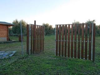 Terreno agricolo in vendita a grosseto via aurelia nord