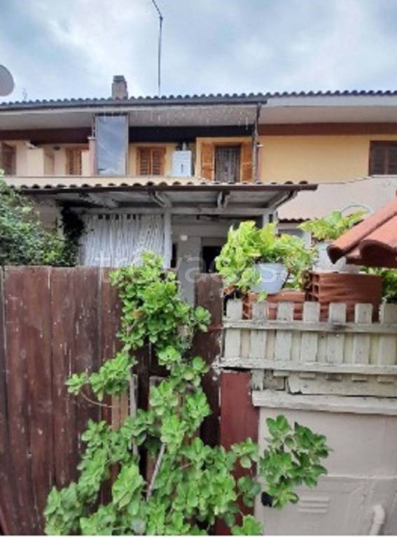 immagine annuncio 3 di 11