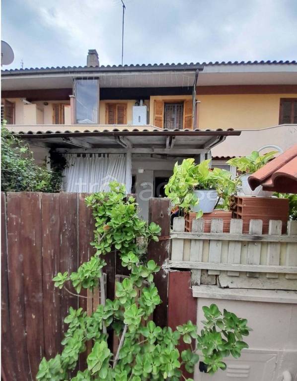 immagine annuncio 10 di 11