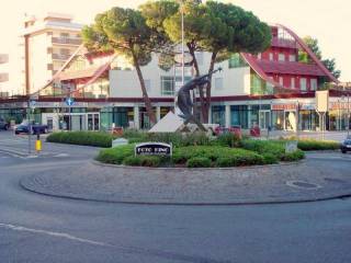 Villa in vendita a riccione viale portofino