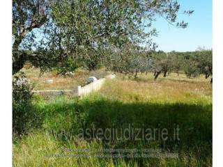 Terreno agricolo in vendita a caltagirone contrada noce