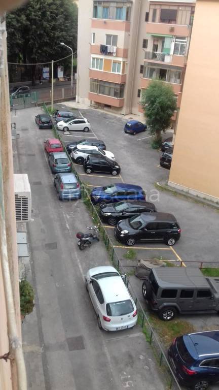 immagine annuncio 7 di 11