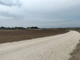 Terreno agricolo in vendita a campomarino contrada buccaro s.n.c.