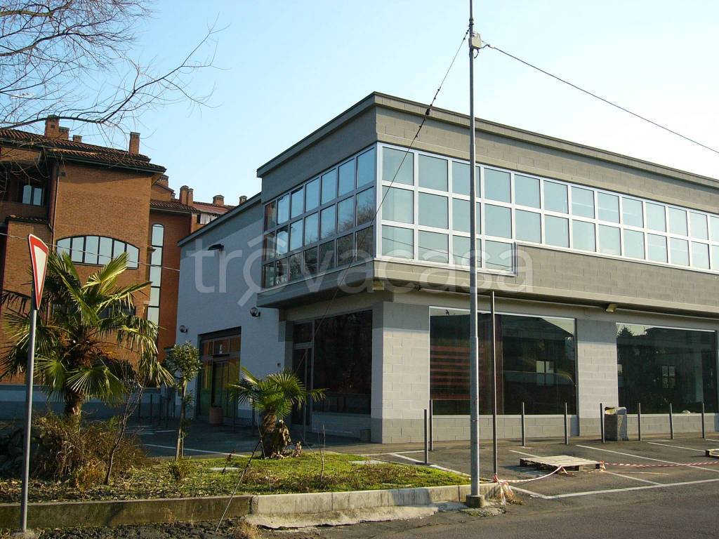 immagine annuncio 3 di 6