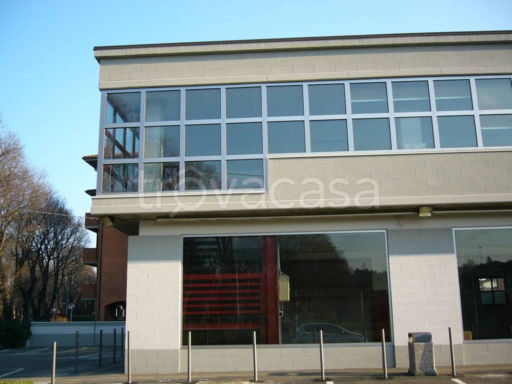 immagine annuncio 4 di 6