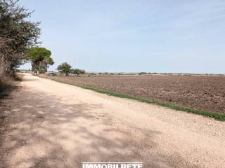 Terreno residenziale in vendita ad altamura contrada fornello