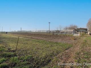 Terreno agricolo in vendita a jesolo via pantiera