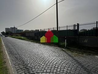 Terreno agricolo in affitto a giugliano in campania strada provinciale casacelle in giugliano