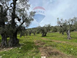 Terreno agricolo in vendita a vieste 