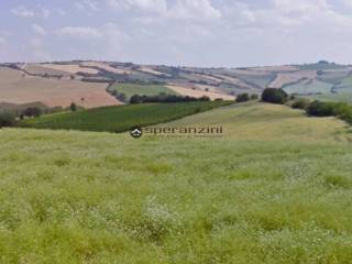 Terreno agricolo in vendita a san costanzo strada vencareto ,