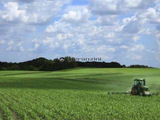 Terreno agricolo in vendita a fano strada comunale prelato ,