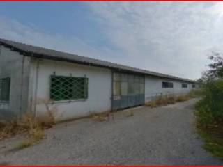 Capannone industriale all'asta a ghedi strada gandine n. 24 ; strada gandine n. 24, ghedi (bs), ghedi, bs,