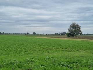 Terreno agricolo in vendita a medolla 