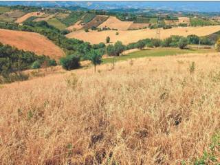 Terreno agricolo in vendita ad acquaviva picena localita' forola - contrada santa caterina, scn