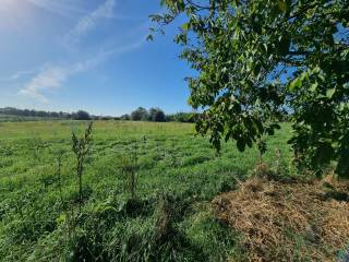 Terreno agricolo in vendita a roma via di casal selce