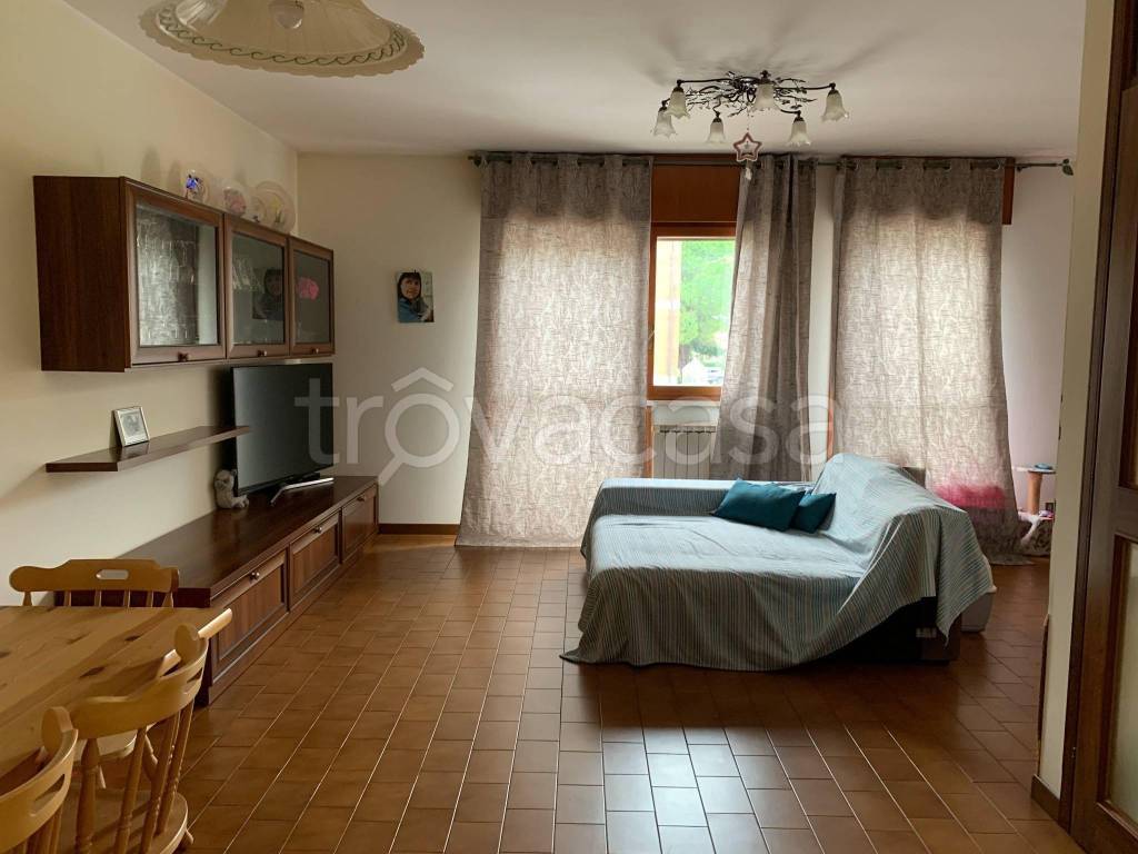 immagine annuncio 2 di 14