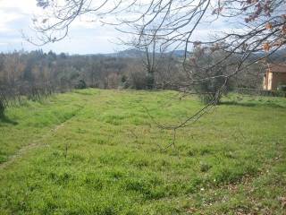 Terreno agricolo in vendita a nepi via molino valle