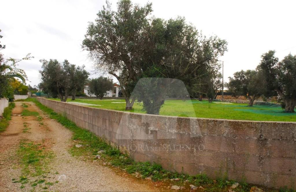 immagine annuncio 7 di 9