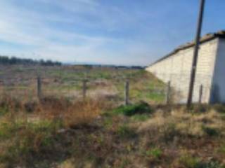 Terreno agricolo in vendita a foggia cortile ordona