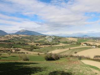 Casa indipendente in vendita a bellante via sant'arcangelo, 37