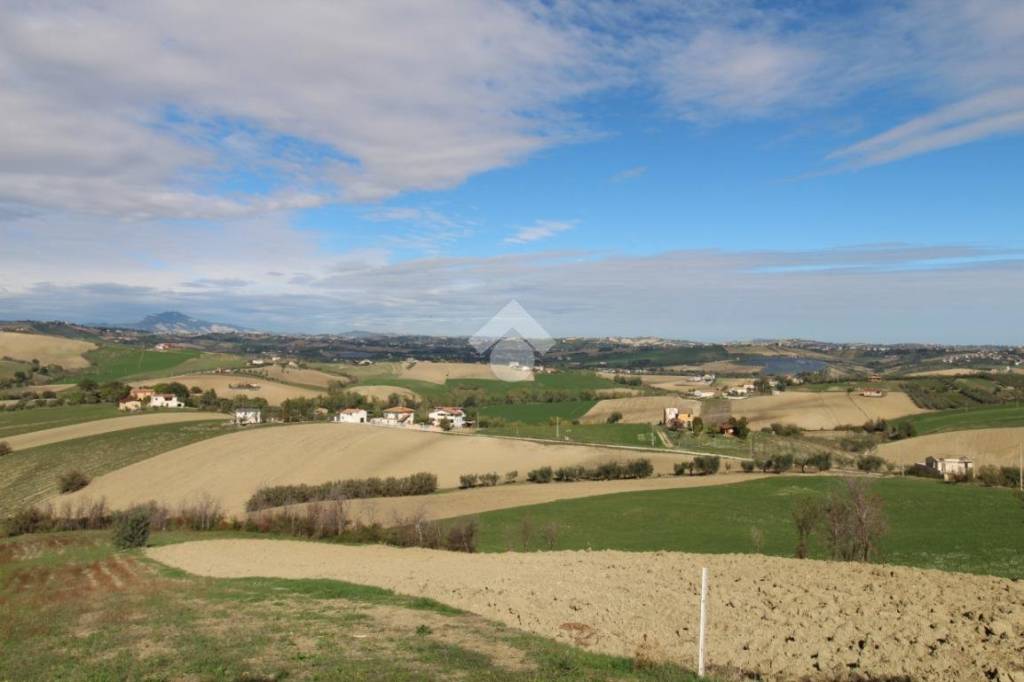 immagine annuncio 12 di 13
