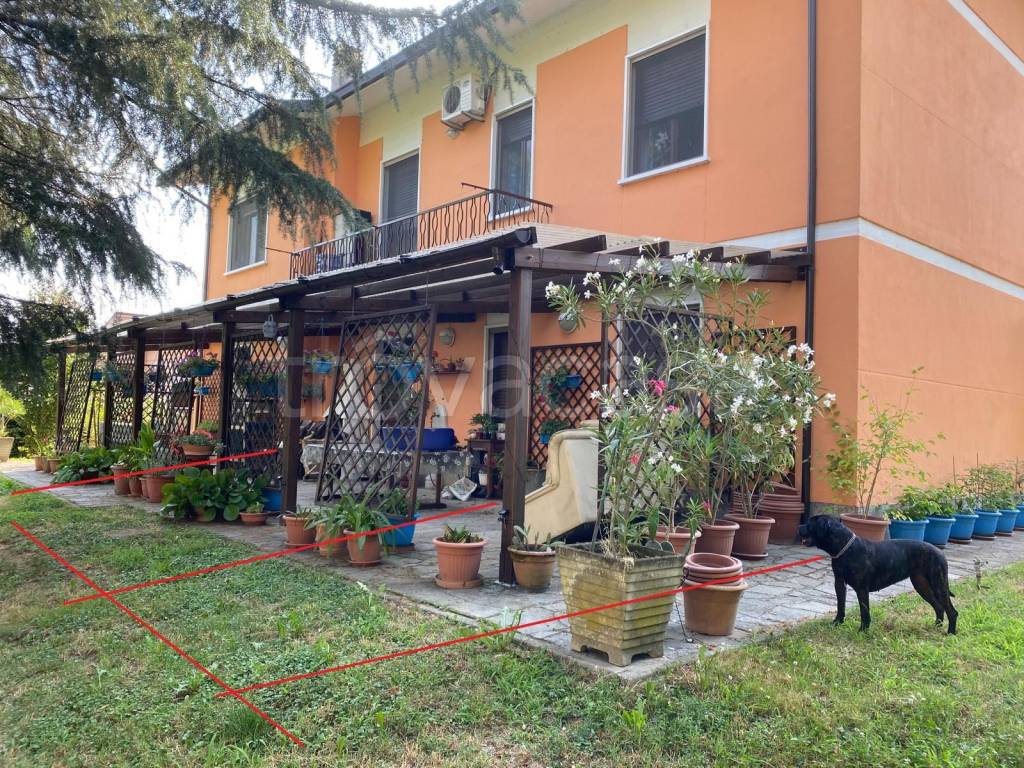 immagine annuncio 6 di 15