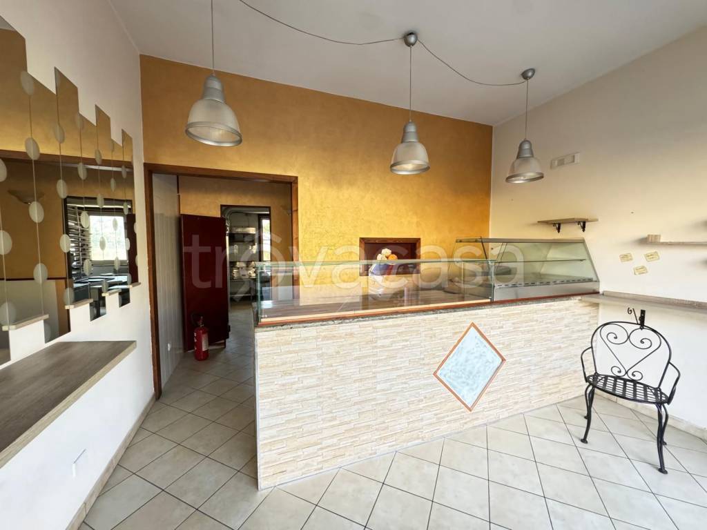 immagine annuncio 5 di 14