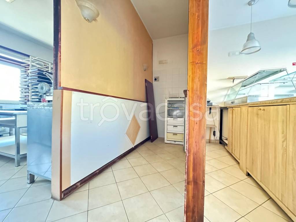 immagine annuncio 6 di 14