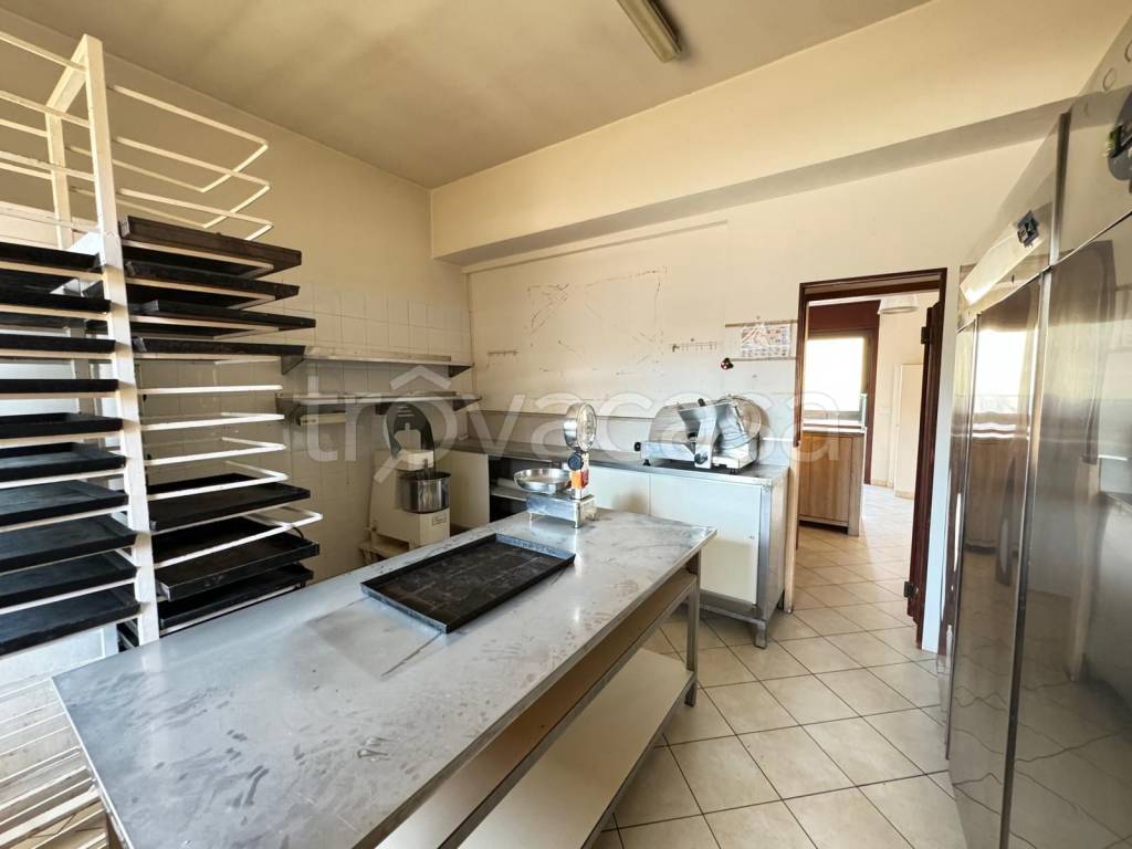 immagine annuncio 11 di 14