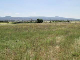 Terreno agricolo in vendita a viterbo strada castiglione