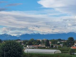 Appartamento in in vendita da privato a treviso via albona, 13