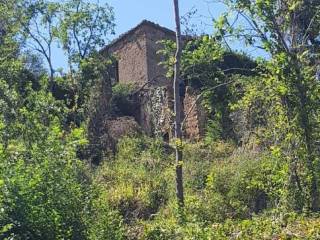 Terreno agricolo in vendita a ficarra sp146