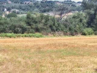 Terreno agricolo in vendita a monte castello di vibio via dell'eremo