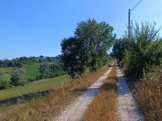 Terreno agricolo in vendita a collevecchio via collefiore