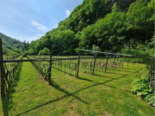 Terreno agricolo in vendita ad ala via per ronchi, 1