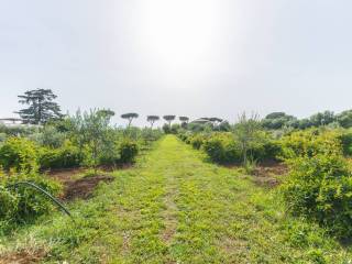 Terreno agricolo in vendita a monte compatri via marmorelle