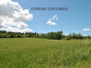 Terreno agricolo in vendita a erbusco 